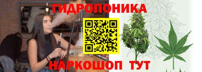 ECSTASY Лесосибирск